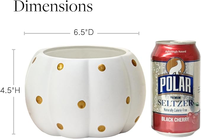 Holiday Designs - 6.5 Inch Pumpkin Planter Pots, Set of 12 Matte Ceramic Pumpkin Pottery for Fall Flowers, Succulents, Halloween & Thanksgiving Decor (White & Gold, 6.5" D)