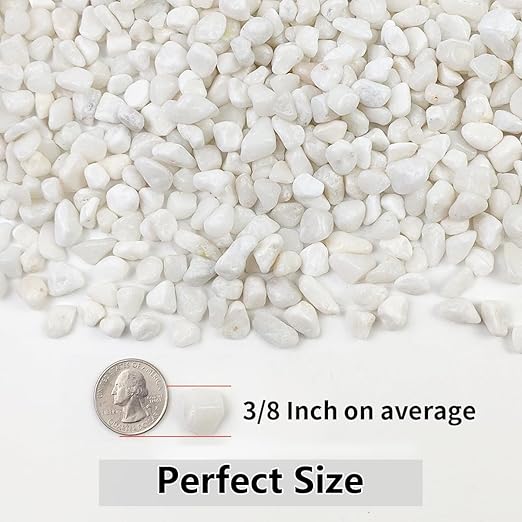10LB Succulent and Cactus Gravel Pebbles, 3/8 Inch Natural Decorative Polished Stones, River Rocks for Plants, Vases, Aquariums, Terrarium and Outdoor Gardening, White