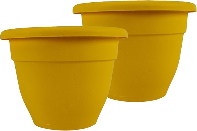 The HC Companies 20 Inch Caribbean Planter Pots with Drainage & Plug, Rolled Rim Plastic Planters for Indoor & Outdoor Plants, 2-Pack Decorative Flower Pots for Garden, Office & Home Decor, Honey