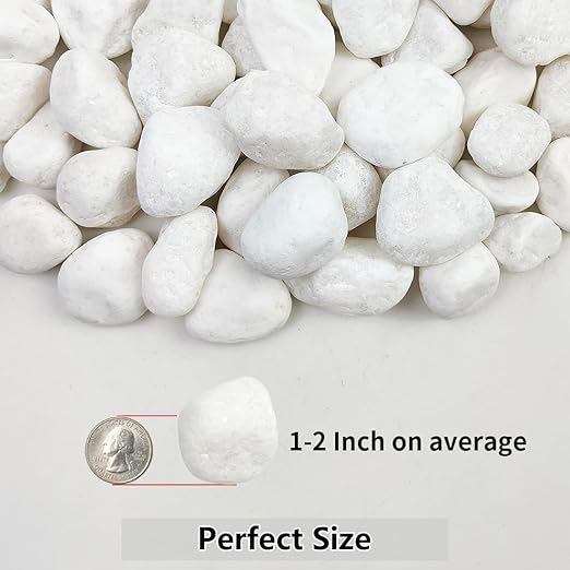 5lb White Pebbles for Indoor Plants, 1-2 Inch Natural River Rocks, Snow White Decorative Stones, Ideal for Fish Tank, Vases, Crafting, Home Decor and Garden Landscaping Rocks