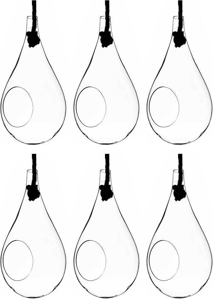 WGV Hanging Planter Terrarium Bulk, Width 5", Height 9.5", DIY Clear Glass Succulents Air Teardrop Floral Container (Including Rope), Candle Holder Vase for Outdoor Indoor Decor, 6 Pieces
