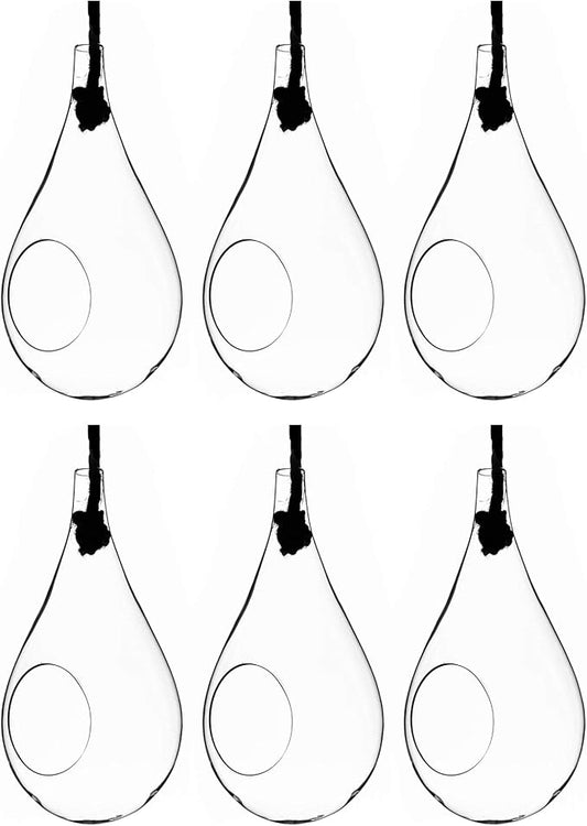 WGV Hanging Planter Terrarium Bulk, Width 5", Height 9.5", DIY Clear Glass Succulents Air Teardrop Floral Container (Including Rope), Candle Holder Vase for Outdoor Indoor Decor, 6 Pieces