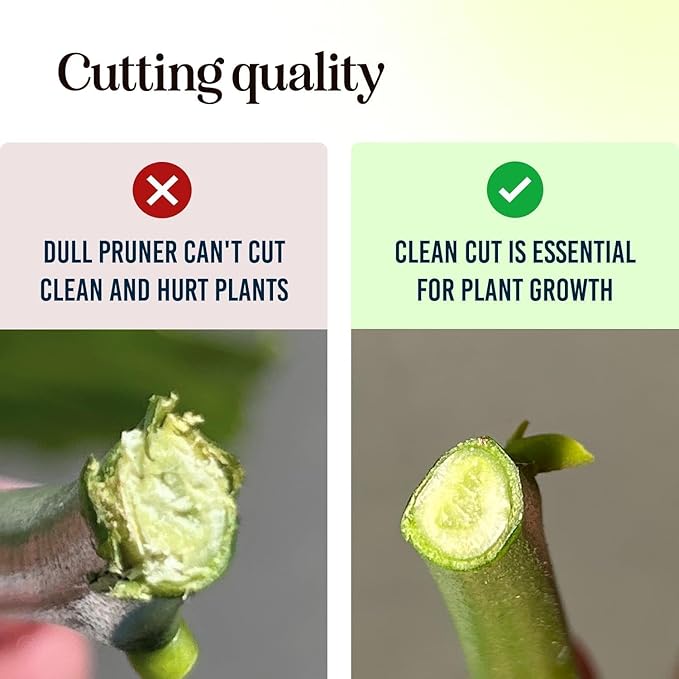 Ultra Sharp Japanese Steel Pruning Shears - Cuts 3X Easier, Weak Hand Arthritis Clippers, Rust-Resistant Titanium Coated Pruner, Effortlessly Cuts 3/4 Inch