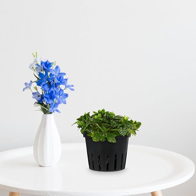 8pcs Black Wall Hanging Planters Set for Indoor Plants, Breathable Root Control Flower Pots with Multiple Drainage Holes, Balcony Vertical Garden Plant Holders Without Hooks