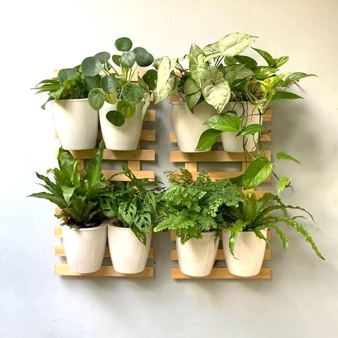 ShopLaLa Wooden Wall Planter - 2 Pack Wall Hanging Planters for Indoor Plants Ladder Wall Mount Natural Wood Holder Flower Pots Vertical Living Balcony Unique Large Green Plant Decor 23.6" (60cm)