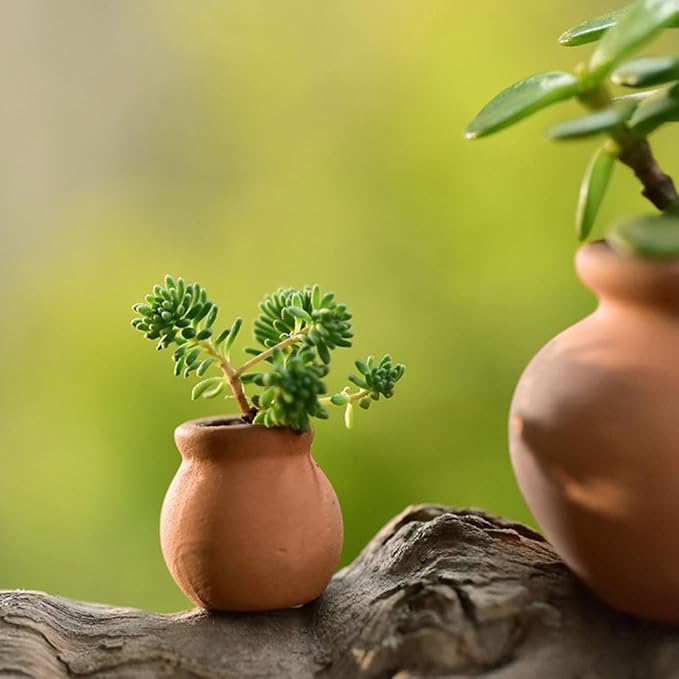 6pcs Tiny Terracotta Pots Flower Garden Pots Succulent Nursery Pot Mini Pots for Plants Succulent Pot Small Pots Small Containers Mini Plant Nursery Pots Wedding Clay Bride Planter