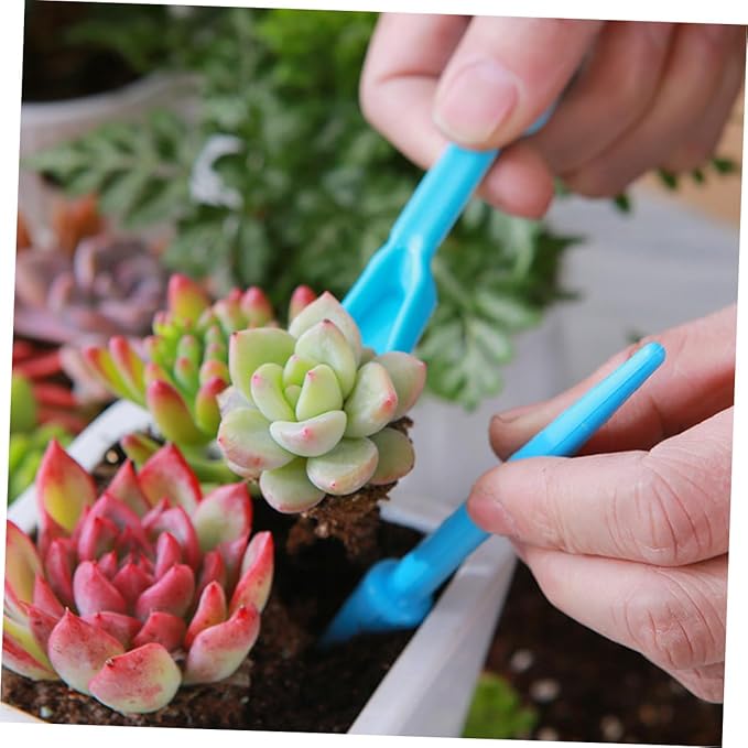 KESYOO Succulent Planting Tool Set with Transplanting Scoop, Small Soil Shovel, Cleaning Brush, and Blue Bucket for Indoor Garden Care and Bonsai Planting Accessories