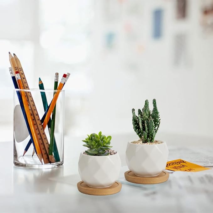 ZOUTOG Succulent Plant Pot 12 Pack, 2.5 inch Square Pattern Ceramic Planters with Bamboo Tray, Small Succulent Pots Indoor, White Office Desk Decor (Seeds＆ Plants Not Included)