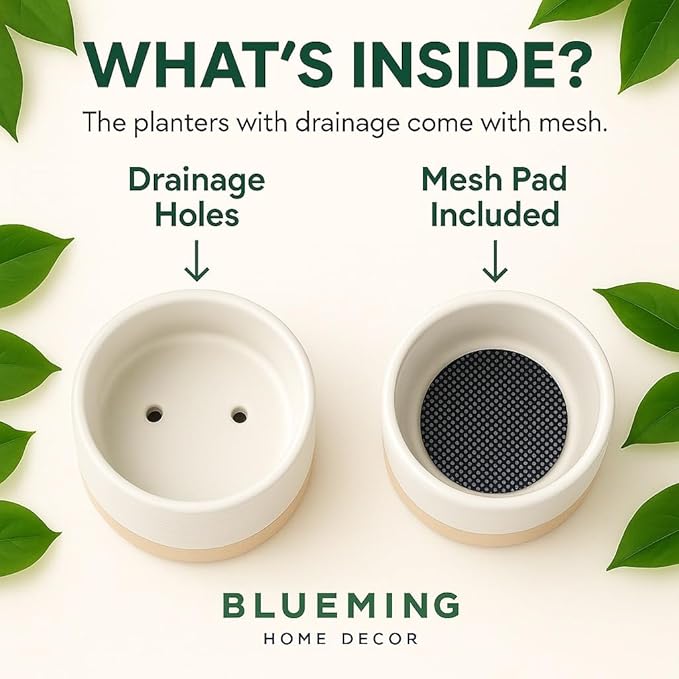 Ceramic Self Watering Plant Pots – 6 Inch White Planter with Drainage Hole & Water Storage for Succulents & Modern Indoor House Plants (White & Beige, 6" Wide)