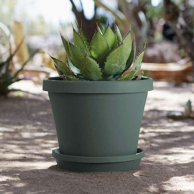 Bloem Terra Resin Saucer Tray: 9.25" Bottom Width - Basil Green - Matte, Durable, Ribbed Bottom, Indoor and Outdoor, Fits 12" Terra Pots