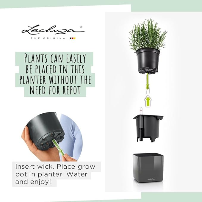 Lechuza Cube Glossy 16 Charcoal High Gloss, Self-Watering Indoor Small Plant Pot, H6.3 L6.7 W6.7 in
