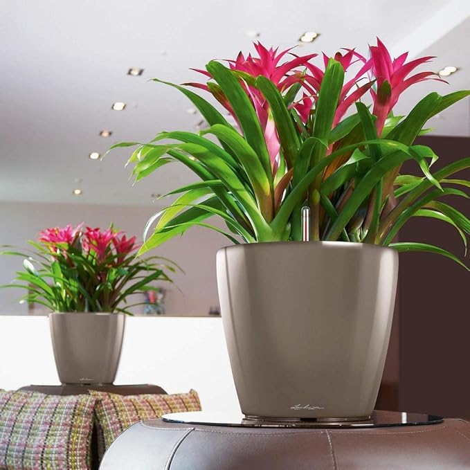 Lechuza Classico LS 43 Shiny Taupe High Gloss, Self-Watering Round Planter, D16.9 H15.7 in