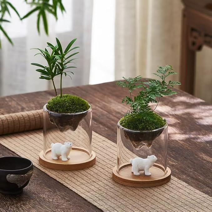 Small Clear Decorative Glass Terrarium Cloche Hole - 4 x 4X 4 Inches Glass Dome with Base for Miniature Succulents - Display Storage Indoor Home Garden Office Tabletop Decor