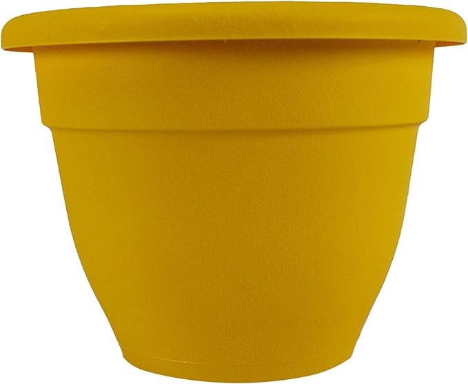 The HC Companies Caribbean Planter Pot - Outdoor & Indoor Plant Pot with Drainage Hole & Plug - Rolled Rim Plastic Pots for Plants & Flowers - Decorative Plant Pot (12" Honey, Pack of 1)
