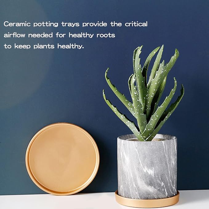 Round 4 Inch Ceramic Plant Saucer Drip Tray Set of 2 for Indoor Small Flower Pots Home Garden Outdoor Flower Plant Pot,Gold Saucers