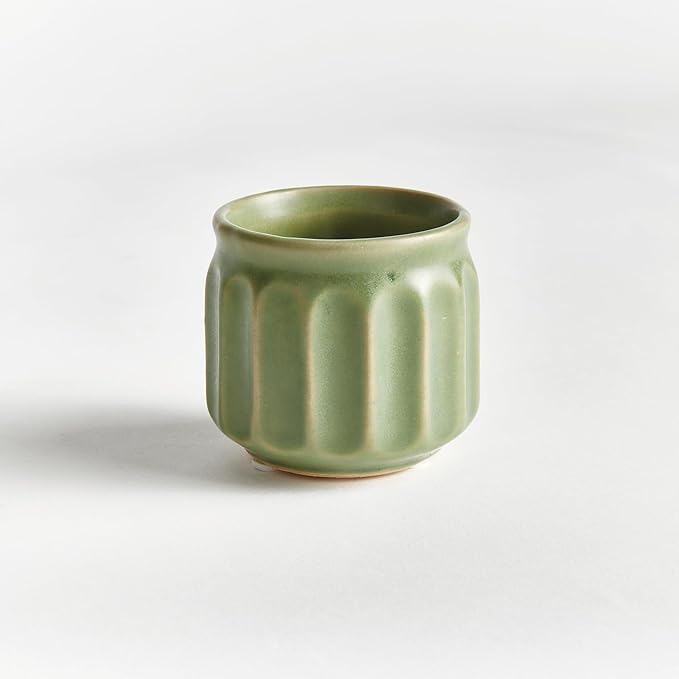 Napa Home & Garden DEZIE MINI POTS Set of 6 Green
