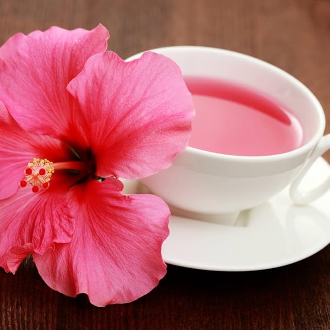 Pink Hibiscus. rosa-sinensis. Live Plant - Tropical Blooming Hibiscus, Pretty Flowers, Used in Tea and Juice (2 Pink Hibiscus Cups)