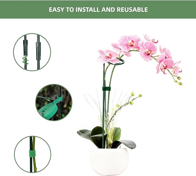 2 Pack Flower Support Stakes, 3 Sizes (12 or 24 or 36 Inch) Garden Plant Stick, Plant Stake Support Ring For Indoor Outdoor With Plant Ties, Amaryllis Support Stakes, Climbing Plants, Tomato