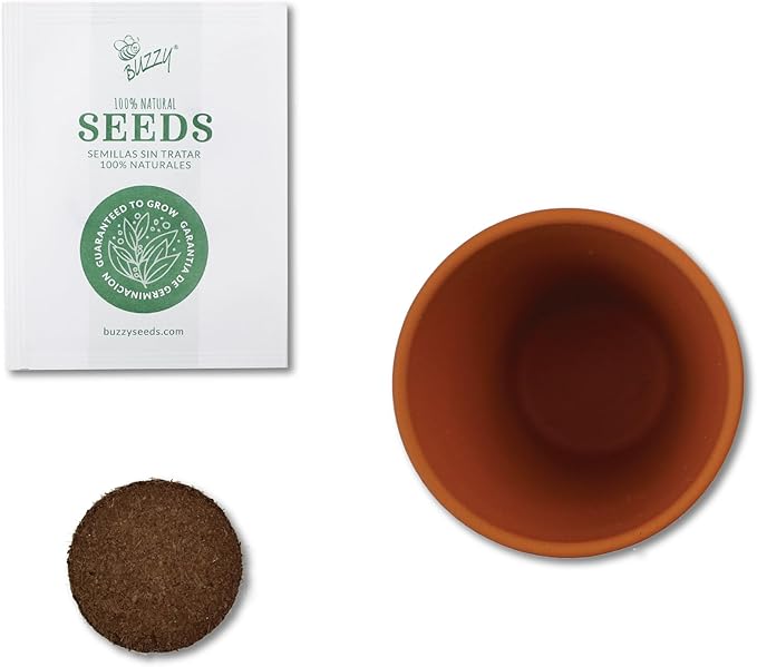 BUZZY Seeds Love Collection Indoor Flower Starter Kit – Terracotta Mini Grow Pots 6-Pack with Strawberry, Mini Rose, Forget-Me-Not, and Daisy Seeds, Valentine’s Day and Wedding Favors