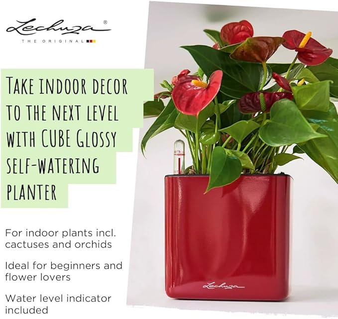 Lechuza Cube Glossy 16 Charcoal High Gloss, Self-Watering Indoor Small Plant Pot, H6.3 L6.7 W6.7 in