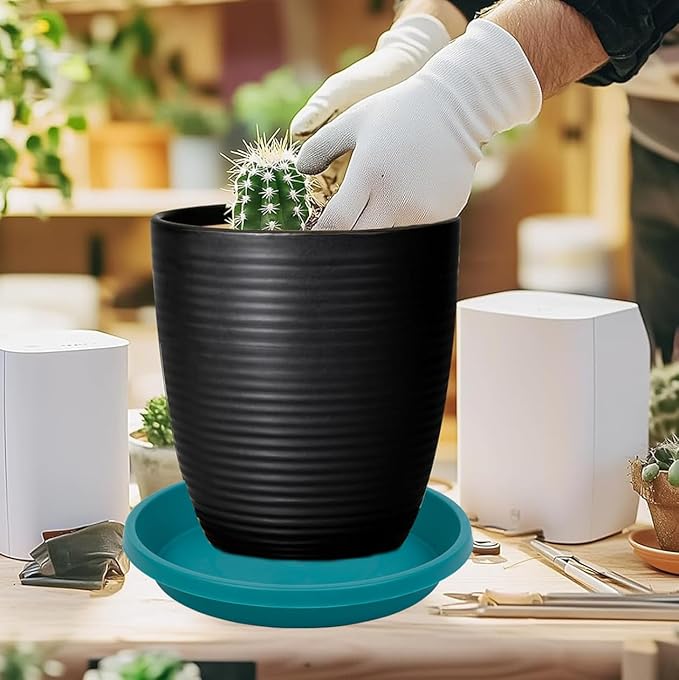 Plastic Plant Saucers 10 Inch Round Pack of 5 Heavy Duty Drip Trays for Indoor Outdoor Use