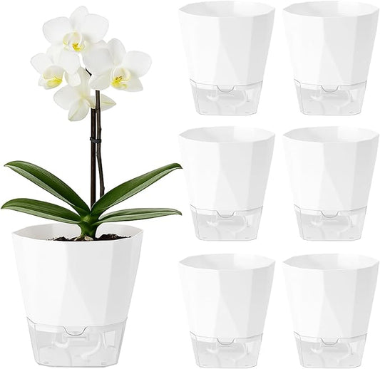6 Pack Self Watering Plant Pots 6 Inches Self-Watering Planters for Indoor and Outdoor Plants African Violet Succulent Pots Clear Pot for Plants Large Herb Orchid Flower Houseplant Plant, White