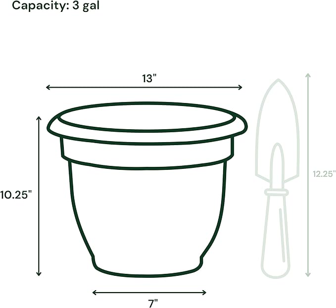 Bloem Ariana 12" Peppercorn Round Self-Watering Resin Planter Pot - Rolled Rim Indoor and Outdoor Gardening Planter