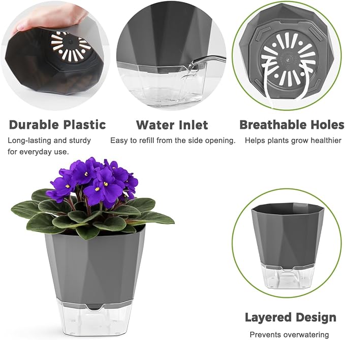 6 Pack Self Watering Pots for Indoor Plants, 5 Inches Self Watering Planters African Violet Self Watering Clear Pots for Plants Herb Orchid Flower Houseplant, Dark Grey