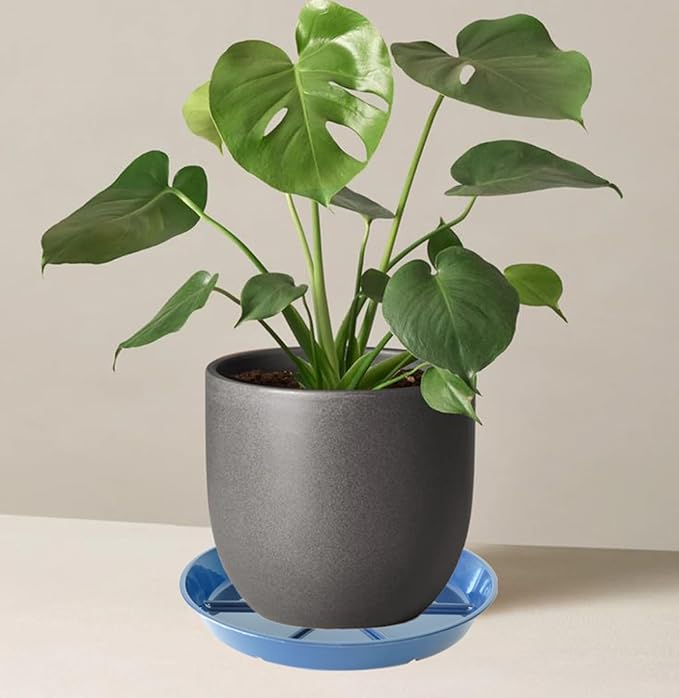 Plant Saucer Pot Tray 12 inch, 6 Packs Flower Planter Saucers and Drip Trays for Pots Planter, Heavy Duty Plant Dish Pant Plate to Catch Water for Indoor & Outdoor, Blue