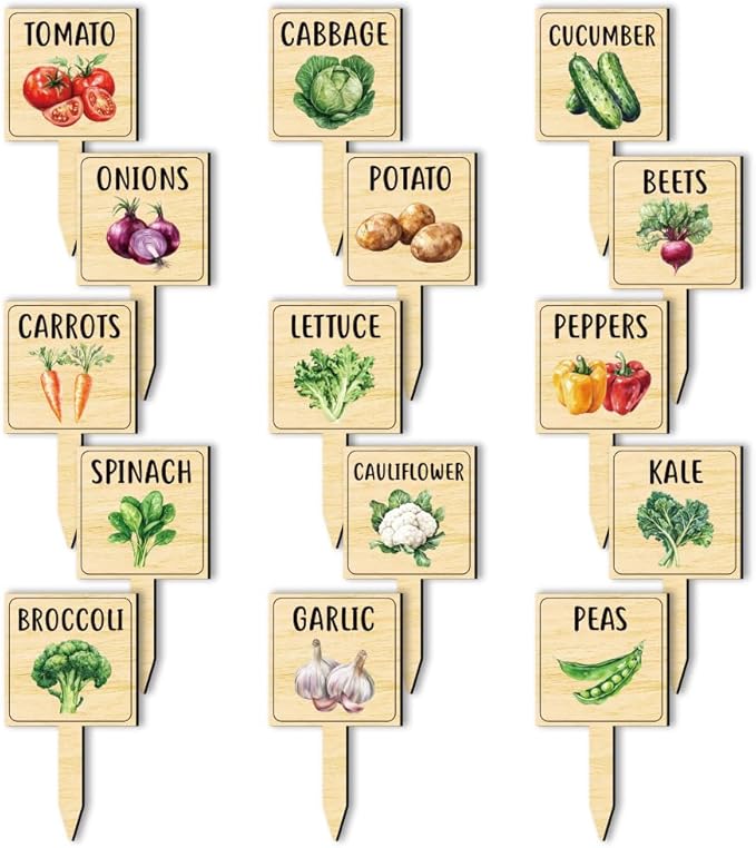 arricraft 15 Pcs Watercolor Vegetable Plant Labels, Wooden Markers T Type Tags Garden Labels with Printed Pattern Wood Garden Stakes for Indoor and Outdoor Potted Vegetable Seed