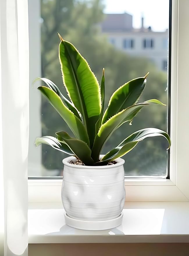 Oairse 5.7 inch Ceramic Pots for Plants, Plant Pot with Drainage Hole and Saucer White Ceramic Indoor Planter with Tray Decorative Flower Pots for Succulent, Cactus, Snake Plant, Herb Indoor Outdoor