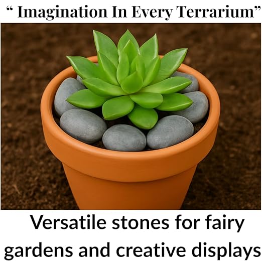 Natural Rocks for Aquarium, 5Lb Stone Terrarium, hydroponic Grow Media, Rock Garden Edging, Terrarium Rocks, Fish Tank Stones, Decorative Stones for vases, Planter Filler