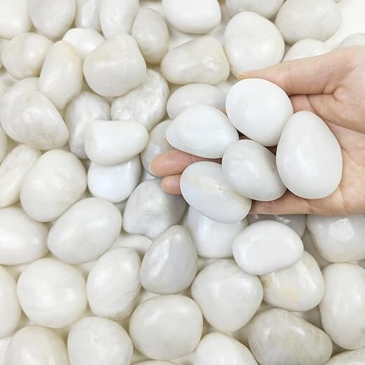 5 lbs White River Rocks, Polished Pebbles for Indoor Plants, 1-2 inch Decorative White Stones for Plants Vase Aquarium Fish Tank and Outdoor Garden Landscaping Rocks