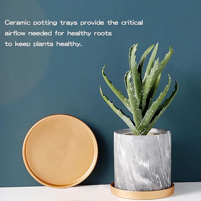 7 Inches Round Ceramic Plant Saucer Drip Tray Set of 2 for Indoor Small Flower Pots Home Garden Outdoor Flower Plant Pot,Gold Saucers