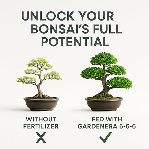 𝐁𝐄𝐒𝐓𝐒𝐄𝐋𝐋𝐄𝐑 Bonsai Fertilizer Pellets – Slow-Release Bonsai Tree Fertilizer & Food for Compact Growth, Dense Branching & Healthy Roots | Ideal for All Bonsai & Money Trees - 4 QUARTS