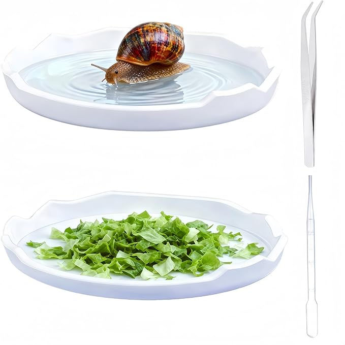 2 Pack Snail Food and Water Bowl，atural Design Food Bowl for Pet Snails, Garden Snails Pet Land Snail Supplies(White)