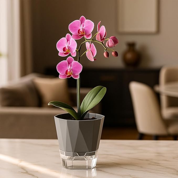 6 Pack Self Watering Plant Pots 8.4" Self Watering Planters for Indoor and Outdoor Plants African Violet Self Watering Clear Pots for Plants Large Herb Orchid Flower Houseplant Pots, Dark Grey