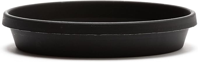 Bloem Terra Resin Saucer Tray: 6.5" Bottom Width - Black - Matte, Durable, Ribbed Bottom, Indoor and Outdoor, Fits 8" Terra Pots