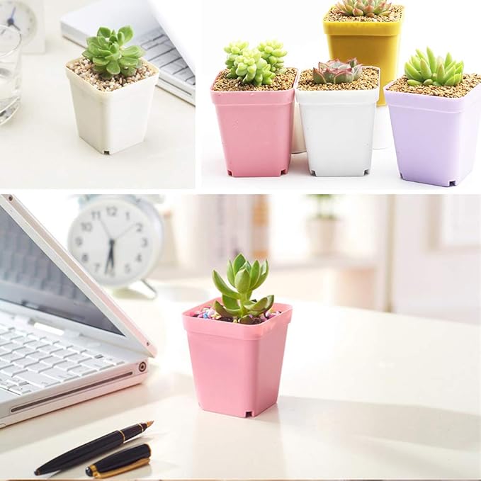 24Pack 3 Inch Plastic Plant Pots,Square Seedling Nursery Pots Succulent Flower Planter Container with Saucers for Garden,Room,Office,Balcony Decor,Multicolor