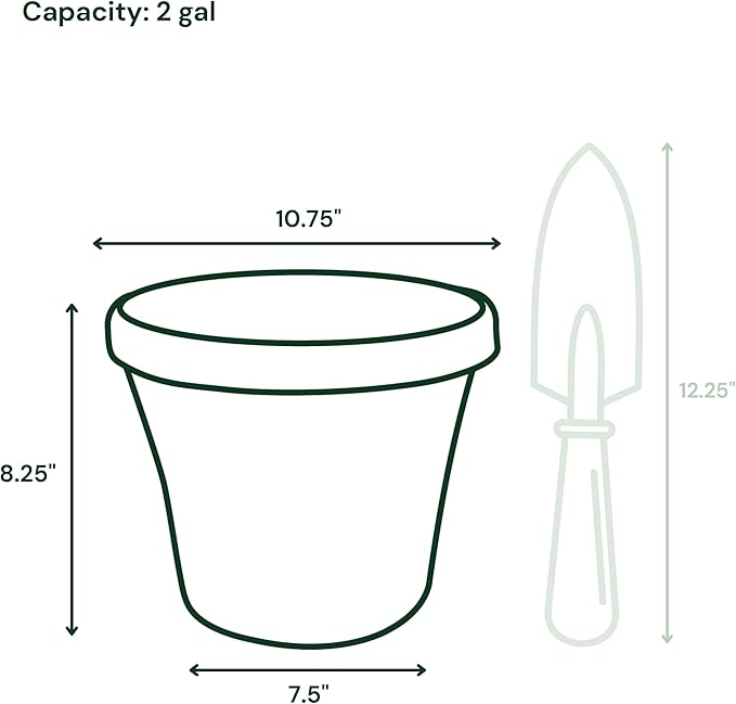 Bloem Terra 10" Diameter Round Living Green Resin Planter Pot with Drainage Holes for Indoor and Outdoor Gardening