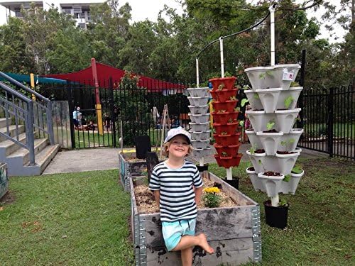 Vertical Gardening Stackable Planter - Build Simple Stacking Gardens or Efficient Commercial Farms - Grow More Strawberries, Herbs, Vegetables & Flowers in Less Space - US Made Pots (Medium, Stone)