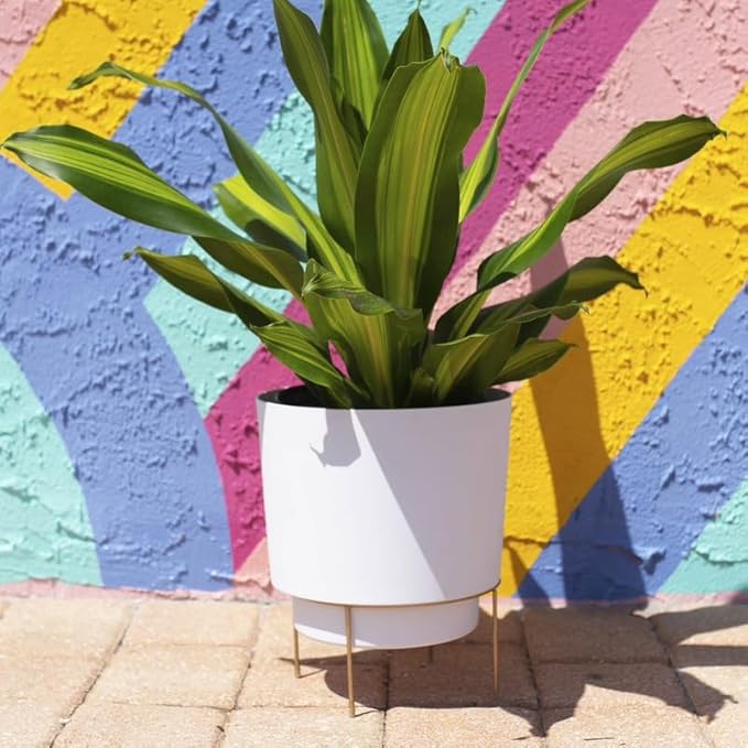 Bloem Hopson 14" Round Casper White Plastic Resin Planter with Drainage Holes and Gold Metal Stand, Made in USA