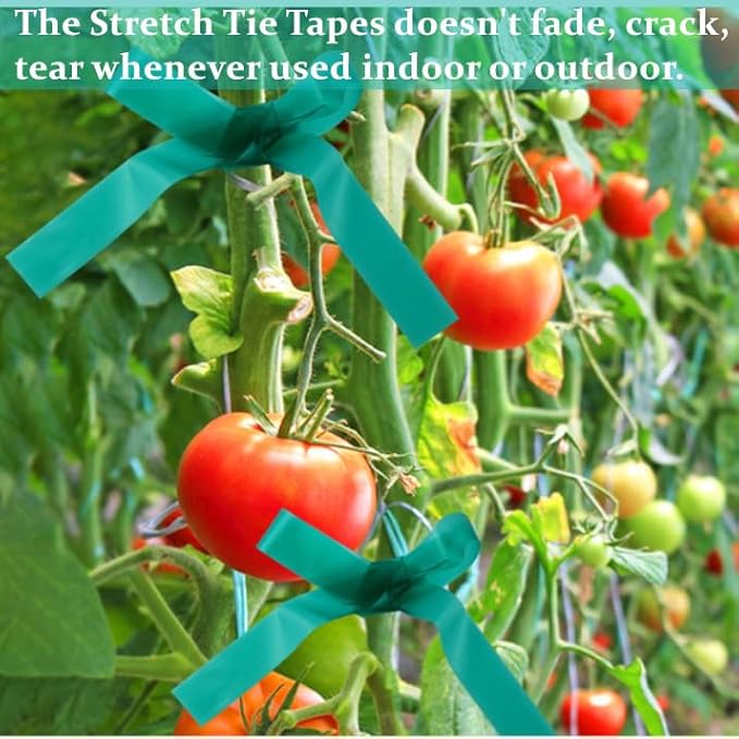Stretch Tie Tape Roll -150 Feet 1/2" Non-Sticky Garden Tie Roll Thick Sturdy Garden Plant Ties Green Vinyl Stake Plant Ribbon for Tomatoes, Grapes and Trees Green Garden Ribbon