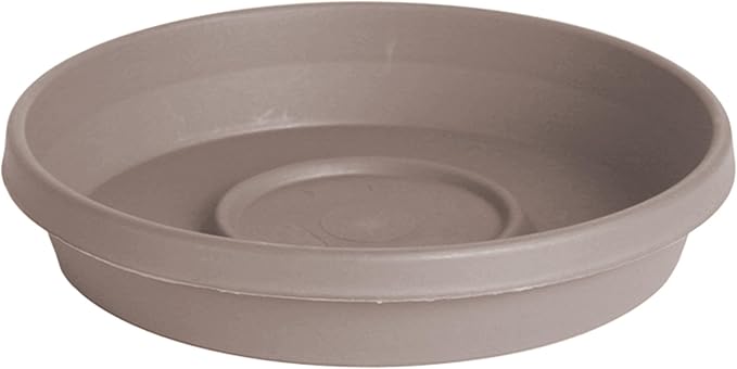 Bloem Terra Resin Saucer Tray: 6.5" Bottom Width - Pebble Stone Beige - Matte, Durable, Ribbed Bottom, Indoor and Outdoor, Fits 8" Terra Pots