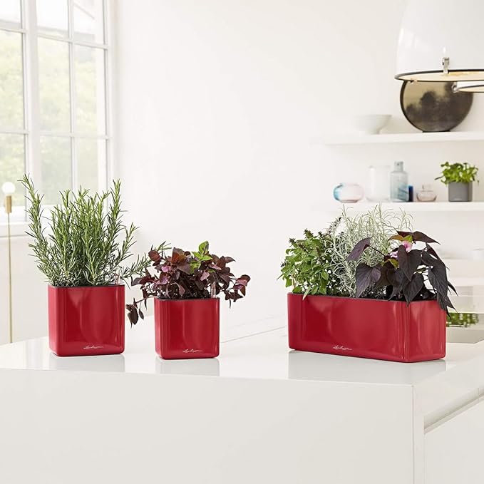 Lechuza Cube Glossy 16 Scarlet Red High Gloss, Self-Watering Indoor Small Plant Pot, H6.3 L6.7 W6.7 in