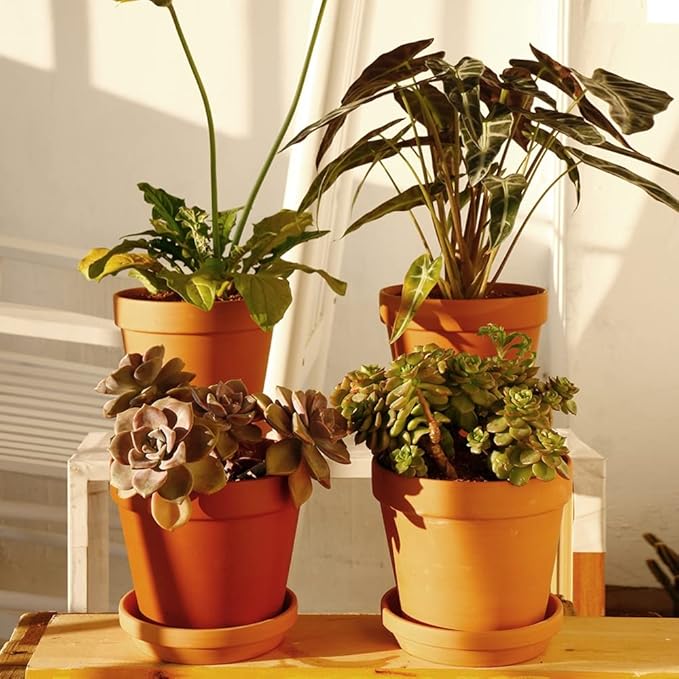 Yishang 6 Inch Middle Terracotta Pot Plant Saucer - 8pcs Middle Round Plant Pot Saucers, Middle Clay Plant Tray Perfect for 5/5.5/6 Inch Flower Pot with Drainage Hole and Great for Indoor or Outdoor