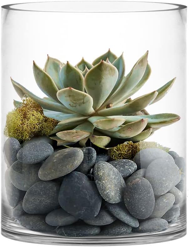 CYS Excel Large Clear Glass Cylinder Vase (H:12" D:10") Flower Vase Centerpieces Hurricane Floating Pillar Candle Holder Terrarium Planter