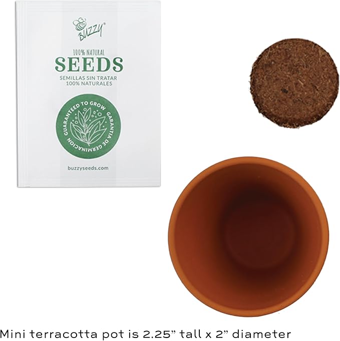 BUZZY Seeds Terracotta Mini Grow Pots 12-Pack – All-in-One Flower Kits with Growing Medium, Sunflower, Daisy, Coneflower, Strawberry, Forget-Me-Not, and Cactus Seeds, DIY Plant Starter Collection