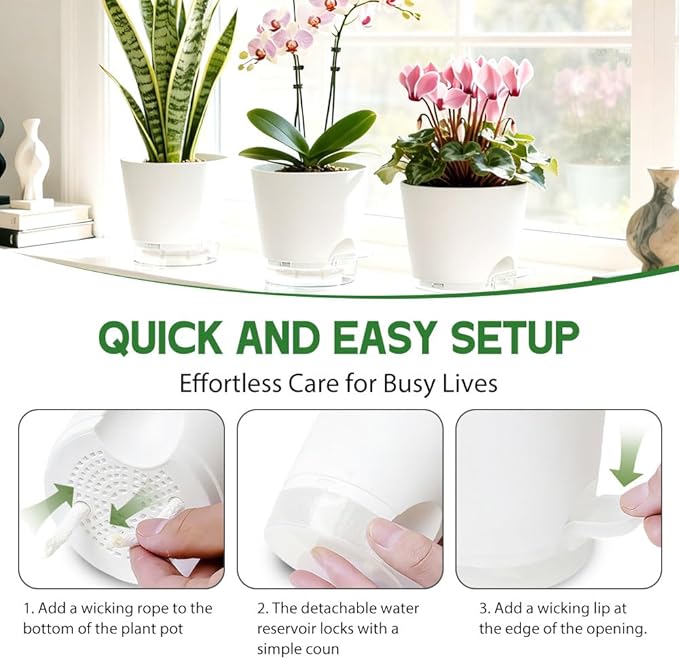 Self Watering Pots for Plants, 2026 New Flower Plant Pots with Drainage Holes, Wicking and Clear Reservoirs for Succulent, Aloe, Cacti and Others - 6 Pack (White, 5")