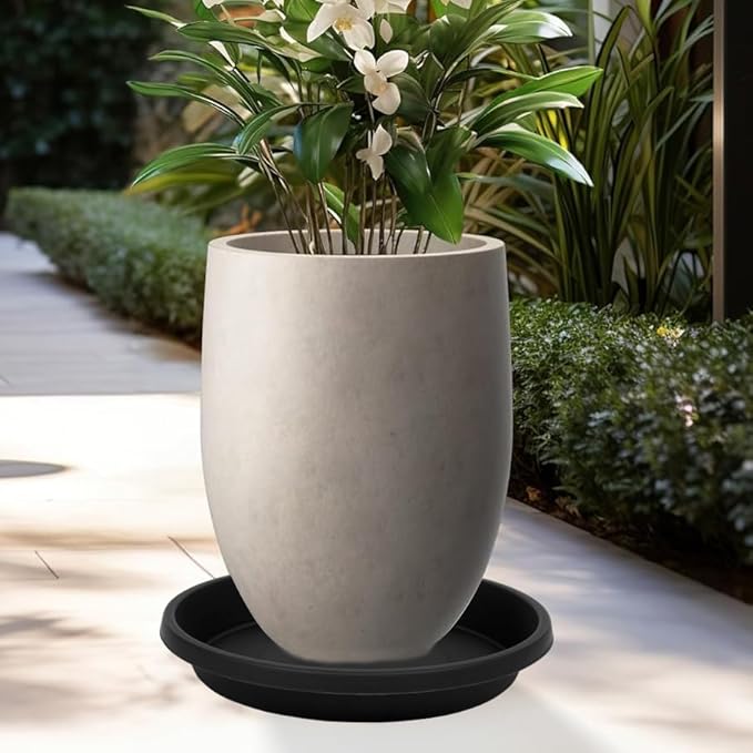 2 Pack Plant Saucer 12 Inch, Heavy Sturdy Plant Trays for Pots, Plant Drip Trays, Plant Water Catcher Tray for Plants, Plastic Plant Saucers for Indoors no Holes